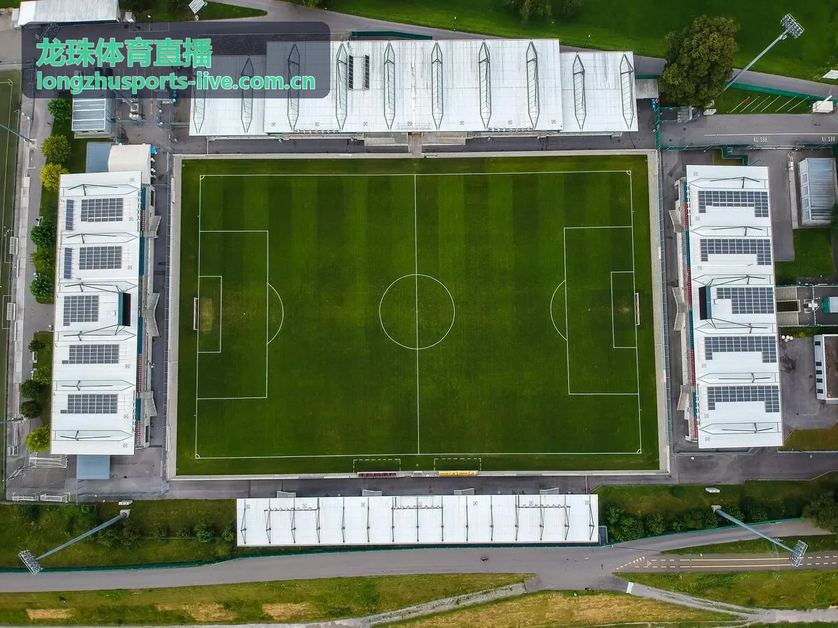 龙珠体育直播网坛大赛数据排行解析配图